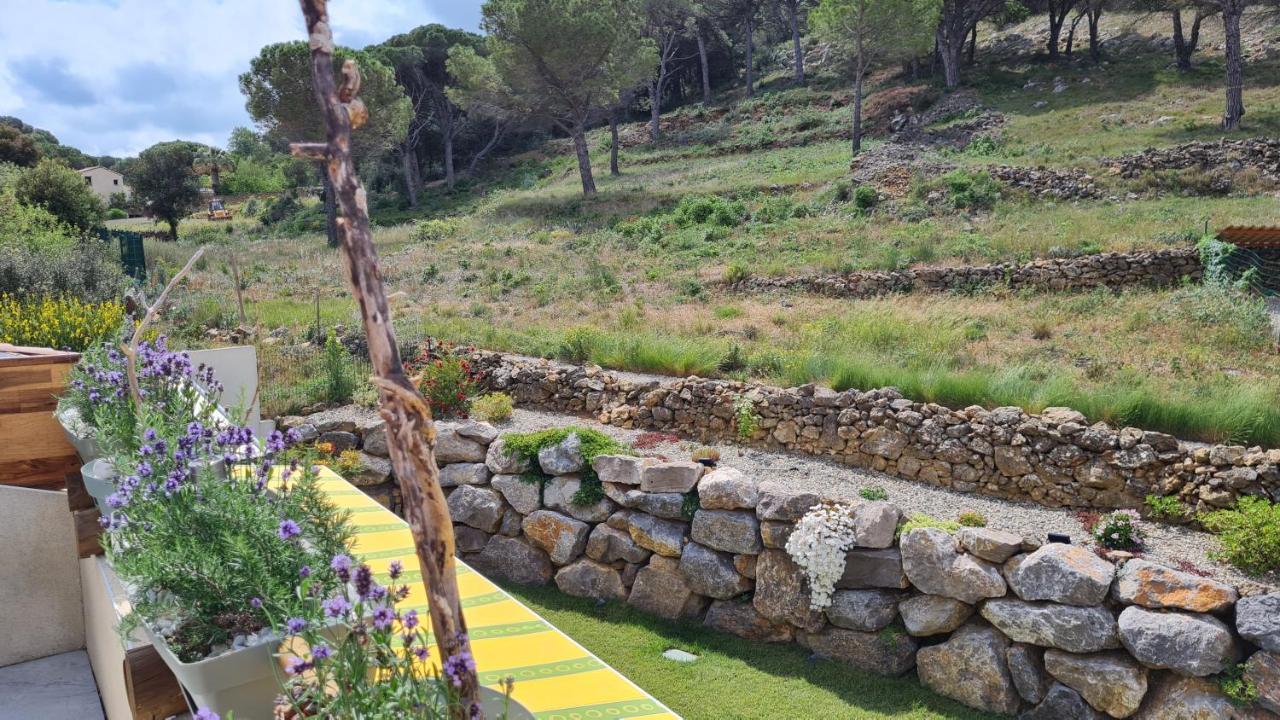 Chambres D'Hotes B&B La Bergeronnette Avec Piscine Couverte Chauffee Bizanet エクステリア 写真