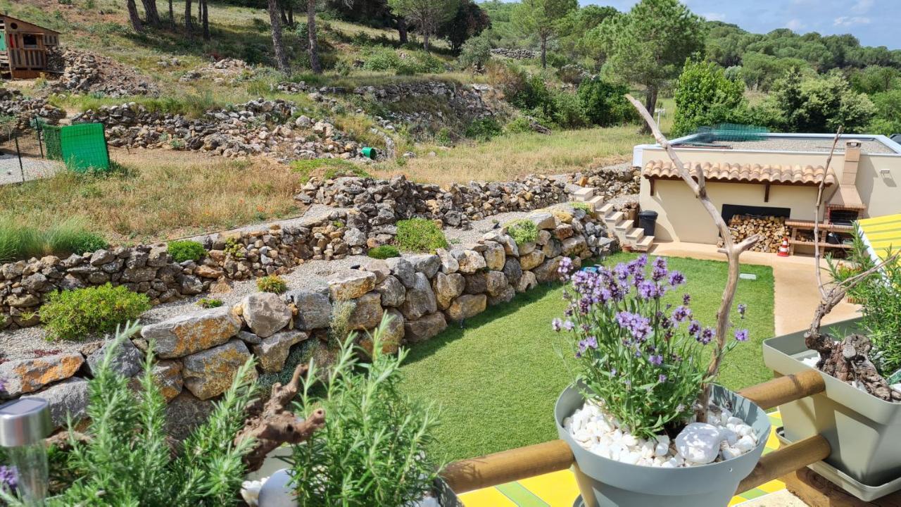 Chambres D'Hotes B&B La Bergeronnette Avec Piscine Couverte Chauffee Bizanet エクステリア 写真